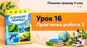 Практична робота 3  «Досліджуємо розчинність деяких речовин»