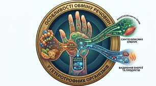 ОСОБЛИВОСТІ ОБМІНУ РЕЧОВИН У ГЕТЕРОТРОФНИХ ОРГАНІЗМІВ