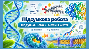 Біологія НУШ 9 клас. Підсумкова робота з теми 2 Біохімія життя (за підручником «Біологія» для 9 класу (автори: О. В. Тагліна, А. М. Самойлов, О. М. Утєвська, Л. В. Довгаль)  )