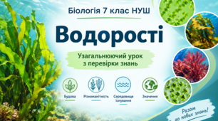 Водорості — особливості будови, різноманітність і значення в природі та житті людини.