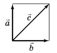 1100nbv2-8054-219x203.png