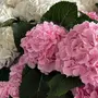 https://fs11.vseosvita.ua/1100nfqv-1500-90x90.webp