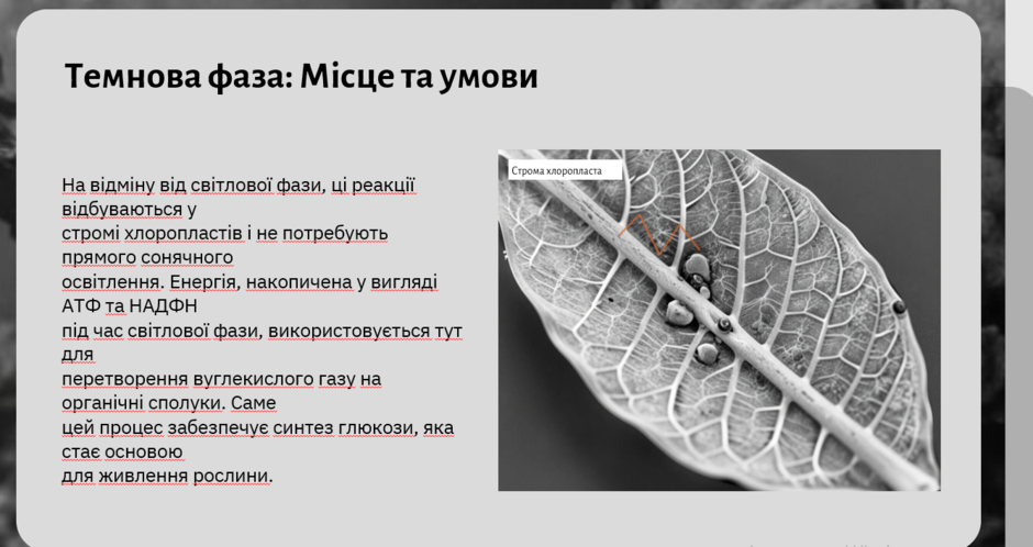 1100ngv4-692c-940x498.png