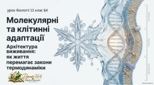 Презентація до уроку "Молекулярні та клітинні адаптації"