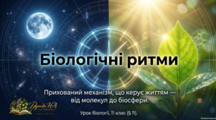 Презентація "Біологічні ритми"