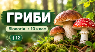 Біологія. 10 клас. Тестові завдання з теми «Гриби» 