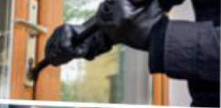 1100nlcu-a080-243x119.png