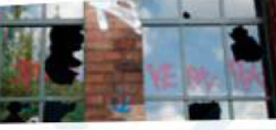 1100nldr-af59-250x118.png