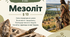 Мезоліт