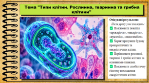 Типи клітин. Рослинна, тваринна та грибна клітини. 9 клас (НУШ). Біологія. За підручником авторів Анедерсон О. та інші.