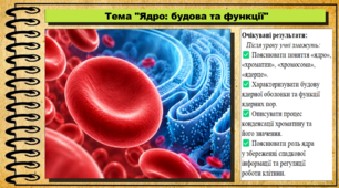 Ядро: будова та функції. 9 клас (НУШ). Біологія. За підручником авторів Анедерсон О. та інші.
