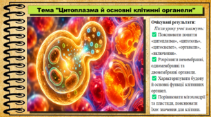 Цитоплазма й основні клітинні органели. 9 клас (НУШ). Біологія. За підручником авторів Анедерсон О. та інші.