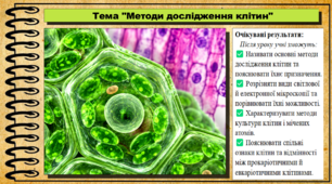 Методи дослідження клітин. 9 клас (НУШ). Біологія. За підручником авторів Андерсон О. та інші.