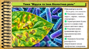 Віруси та їхня біологічна роль. 9 клас (НУШ). Біологія. За підручником авторів Андерсон О. та інші.
