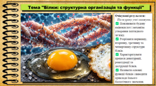 Білки: структурна організація та функції. 9 клас (НУШ). Біологія. За підручником авторів Анедерсон О. та інші.