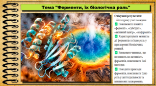 Ферменти, їх біологічна роль. 9 клас (НУШ). Біологія. За підручником авторів Андерсон О. та інші.