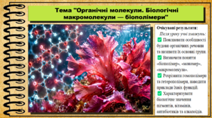 Органічні молекули. Біологічні макромолекули — біополімери. 9 клас (НУШ). Біологія. За підручником авторів Анедерсон О. та інші.
