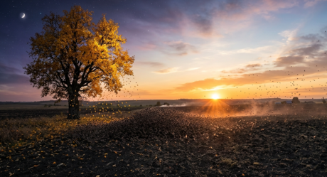 1100o4by-1935-460x249.png