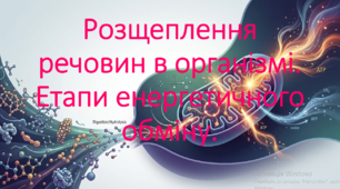 9 клас. НУШ. Біологія. Презентація до уроку: Розщеплення речовин в організмі. Етапи енергетичного обміну.