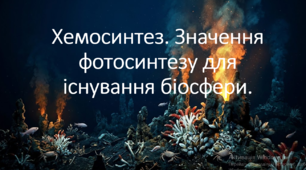 9 клас. НУШ. Біологія. Презентація до уроку: Хемосинтез. Значення фотосинтезу для існування біосфери.