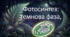 9 клас. НУШ. Біологія. Презентація до уроку: Фотосинтез: темнова фаза.
