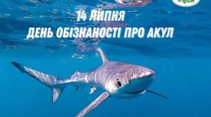 Атрибути до ДНЯ ОБІЗНАНОСТІ ПРО АКУЛ