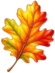 1100oodq-747d-55x73.png