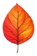 1100ooeb-675f-37x56.png