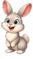 1100ooia-8474-33x59.png