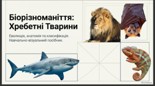 Біорізноманіття. Хребетні тварини.