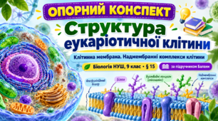 Опорний конспект з біології «Структура еукаріотичної клітини: клітинна мембрана. Надмембранні комплекси клітини». 9 клас НУШ