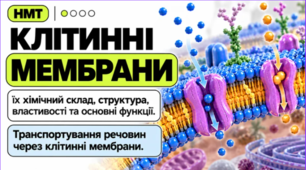 Структура та функції плазматичної мембрани евкаріотичної клітини