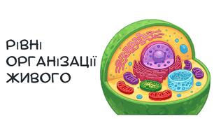 Презентація: "Рівні організації живого" біологія 9 клас НУШ