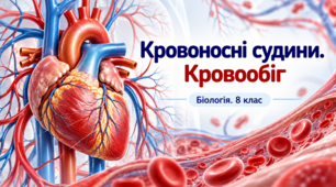 Презентація «Кровоносні судини. Кровообіг»  Біологія. 8 клас. НУШ за підручником Тагліної