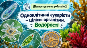 (Копія) Діагностувальна робота №2: «Одноклітинні еукаріоти та водорості»