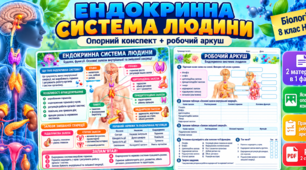 Ендокринна система людини. Опорний конспект + робочий аркуш | Біологія, 8 клас НУШ