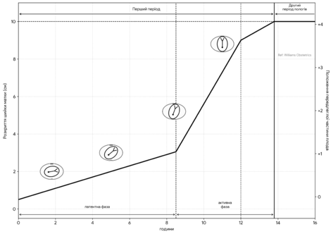 1100pagm-0d4d-470x332.png