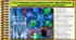 Навчальне дослідження № 8 «Дослідження електропровідності речовин і розчинів». 9 клас (НУШ). Біологія. За підручником і програмою Григорович О.