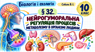 Нейрогуморальна регуляція процесів метаболізму в організмі людини. Презентація, інфографіка, робочий аркуш