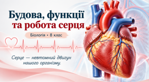 Презентація «Будова, функції та робота серця. Самодослідження зміни частоти серцевих скорочень та артеріального тиску»  Біологія, 8 клас.НУШ.