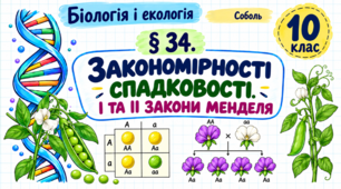 Закономірності спадковості. І та ІІ закони Менделя. Презентація, інфографіка, робочий аркуш