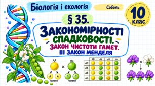 Закономірності спадковості. Закон чистоти гамет. ІІІ закон Менделя. Презентація, інфографіка, робочий аркуш