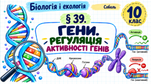 Гени. Регуляція активності генів. Презентація, інфографіка, робочий аркуш