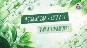 Обмін речовин та енергії (метаболізм) у клітині. Типи живлення