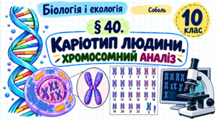 Каріотип людини. Хромосомний аналіз. Презентація, інфографіка, робочий аркуш
