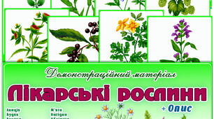 Демонстраційний матеріал "Лікарські рослини "