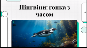 Відеоогляд "10 жовтня - Міжнародний день африканських пінгвінів"