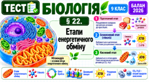 § 22. Етапи енергетичного обміну