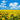 Аватар профіля