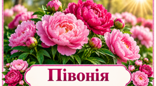 Весна розквітає: квіткова палітра весни.
